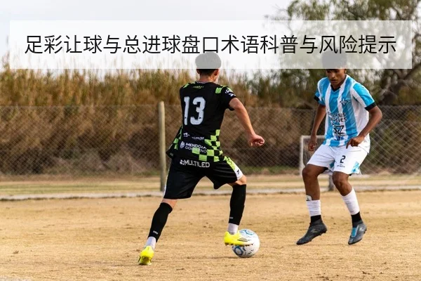 足彩让球与总进球盘口术语科普与风险提示